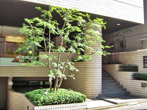 平河町辻田ビル｜千代田区平河町｜半蔵門線半蔵門駅｜株式会社ドリーム・インク｜貸事務所